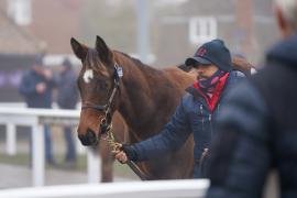 GV Lot 1058 TDF065Tattersalls