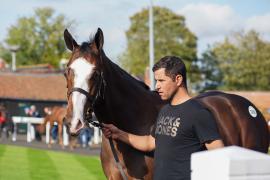 GV Lot 1088 TBK2571Tattersalls