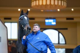 GV Lot 1315 And Tom Sharp TDM 241Tattersalls