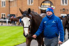 GV Lot 1323 And Marc Simpson TDM 421Tattersalls