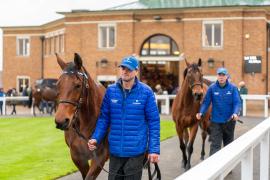 GV Lot 1326 And Daniel Mansworth TDM 424Tattersalls