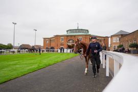 GV Lot 1538 THIT 618Tattersalls