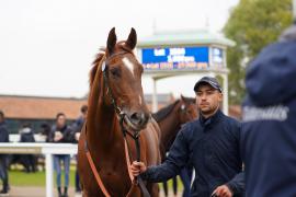 GV Lot 1539 THIT 546Tattersalls