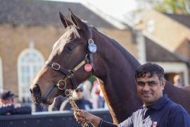 GV Lot 1669 TBK3 052Tattersalls