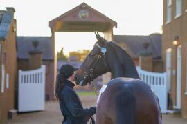 GV Lot 1768 TBK3 427Tattersalls