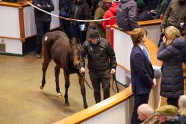 GV Lot 605 Ring TDF 509Tattersalls