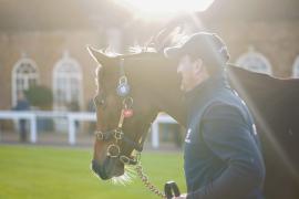 GV Lot 99 Sunlight TDY 1046Tattersalls