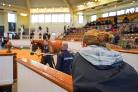 GV Ring THIT 274Tattersalls