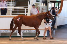 Lot  100 TSS3980Tattersalls