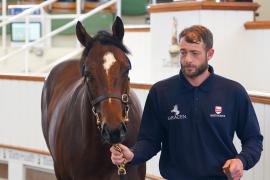 Lot  1019 TBK2160Tattersalls