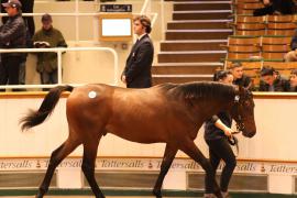 Lot  1024 T Bk2 1771 Tattersalls