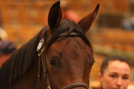 Lot  1024 T Bk2 1777 Tattersalls