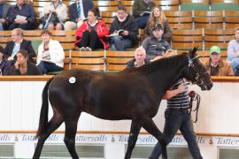 Lot  102 T B1 1773 Tattersalls