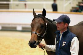 Lot  1041 TBK2 5911Tattersalls