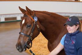 Lot  1043 TBK2361Tattersalls