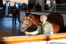 Lot  1049 TBK2 6016Tattersalls