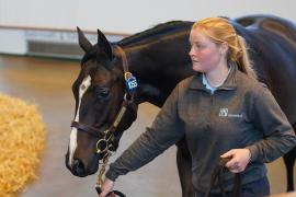 Lot  1055 TBK2456Tattersalls