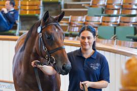 Lot  1062 TBK2698Tattersalls