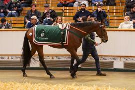 Lot  1066 THIT 493Tattersalls