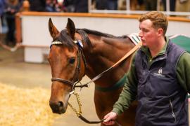 Lot  1066 THIT 590Tattersalls