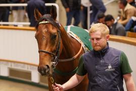 Lot  1068 THIT 564Tattersalls