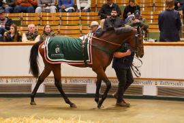 Lot  1069 THIT 477Tattersalls