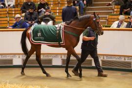 Lot  1069 THIT 543Tattersalls