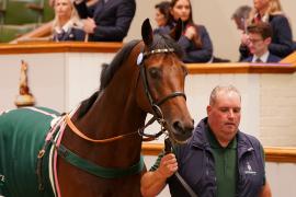 Lot  1069 THIT 658Tattersalls