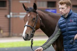 Lot  107 0496 TBK1Tattersalls