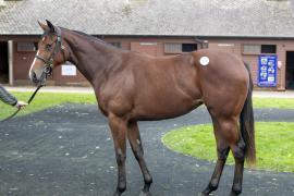 Lot  107 1781 TBK1Tattersalls