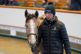 Lot  1074 TDF362Tattersalls