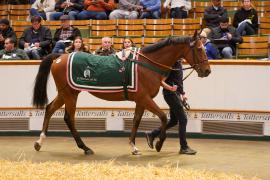 Lot  1075 THIT 797Tattersalls