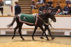 Lot  1076 THIT 813Tattersalls