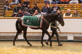 Lot  1076 THIT 832Tattersalls