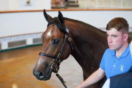 Lot  1079 TBK2617Tattersalls