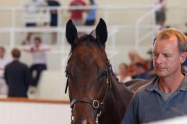 Lot  107 TSS4299Tattersalls