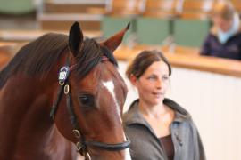 Lot  1081 T Bk2 0060 Tattersalls