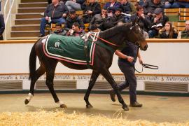 Lot  1083 THIT 841Tattersalls