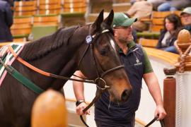 Lot  1083 THIT 856Tattersalls