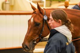 Lot  1092 THIT 880Tattersalls