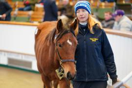 Lot  1093 TDF508Tattersalls