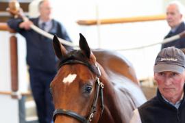 Lot  1097 T Bk2 0208 Tattersalls