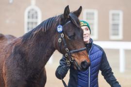 Lot  1098 TDF752Tattersalls