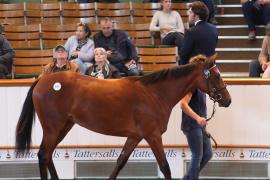 Lot  109 T B1 1937 Tattersalls