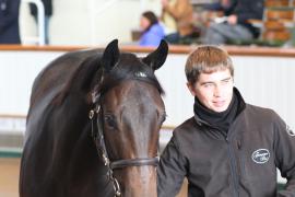 Lot  1108 T Bk2 0375 Tattersalls