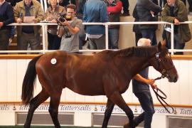 Lot  110 T B1 1971 Tattersalls