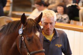 Lot  110 T B1 1985 Tattersalls