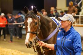 Lot  1117 THIT 971Tattersalls