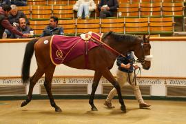 Lot  1141 THIT 1388Tattersalls