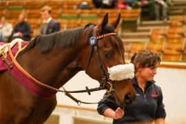 Lot  1141 THIT 1449Tattersalls